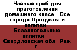 Чайный гриб для приготовления домашнего кваса - Все города Продукты и напитки » Безалкогольные напитки   . Свердловская обл.,Реж г.